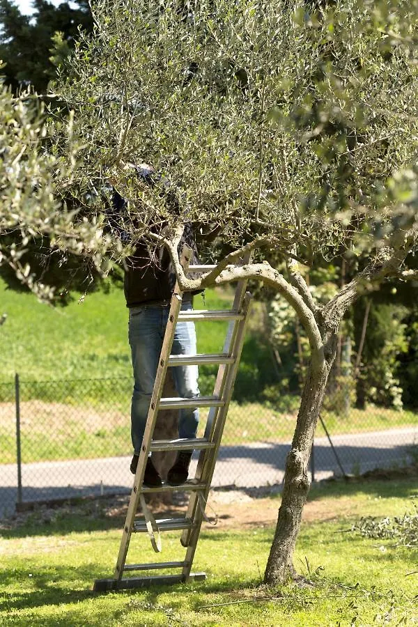 Couette-café Bed&Breakfast Il Frantoio Misano Adriatico